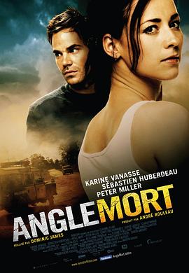 盲點 Angle mort(全集)